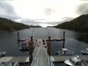 ./images/calvert/dock/20140717/dock20140717_103501.jpg