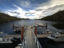 ./images/calvert/dock/20140717/dock20140717_161504.jpg
