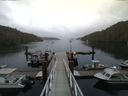 ./images/calvert/dock/20140718/dock20140718_062004.jpg