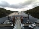./images/calvert/dock/20140722/dock20140722_061004.jpg