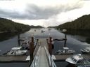 ./images/calvert/dock/20140722/dock20140722_061504.jpg