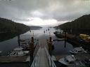 ./images/calvert/dock/20140724/dock20140724_075002.jpg