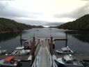 ./images/calvert/dock/20140729/dock20140729_105502.jpg