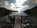./images/calvert/dock/20140730/dock20140730_082503.jpg