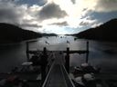./images/calvert/dock/20140730/dock20140730_083001.jpg