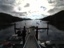 ./images/calvert/dock/20140730/dock20140730_084504.jpg