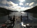 ./images/calvert/dock/20140730/dock20140730_090502.jpg