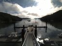 ./images/calvert/dock/20140801/dock20140801_092004.jpg