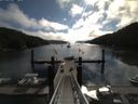 ./images/calvert/dock/20140801/dock20140801_093004.jpg