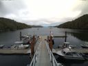 ./images/calvert/dock/20140802/dock20140802_154001.jpg