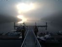 ./images/calvert/dock/20140803/dock20140803_063001.jpg