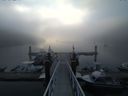 ./images/calvert/dock/20140803/dock20140803_063501.jpg