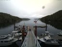 ./images/calvert/dock/20140804/dock20140804_093004.jpg