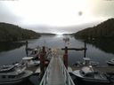 ./images/calvert/dock/20140804/dock20140804_102002.jpg