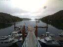 ./images/calvert/dock/20140804/dock20140804_102502.jpg