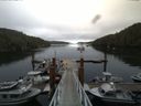 ./images/calvert/dock/20140804/dock20140804_103004.jpg