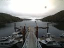 ./images/calvert/dock/20140804/dock20140804_104501.jpg