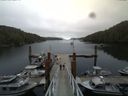./images/calvert/dock/20140804/dock20140804_113504.jpg