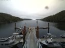 ./images/calvert/dock/20140804/dock20140804_114004.jpg