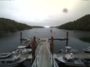 ./images/calvert/dock/20140804/dock20140804_114502.jpg