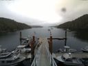 ./images/calvert/dock/20140804/dock20140804_122502.jpg