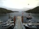 ./images/calvert/dock/20140804/dock20140804_142504.jpg