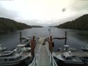 ./images/calvert/dock/20140804/dock20140804_143502.jpg