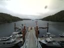 ./images/calvert/dock/20140804/dock20140804_144504.jpg