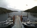 ./images/calvert/dock/20140804/dock20140804_152002.jpg