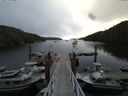 ./images/calvert/dock/20140804/dock20140804_161504.jpg