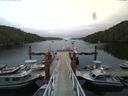 ./images/calvert/dock/20140804/dock20140804_173504.jpg