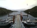 ./images/calvert/dock/20140804/dock20140804_174002.jpg