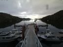 ./images/calvert/dock/20140804/dock20140804_194004.jpg