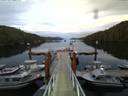 ./images/calvert/dock/20140804/dock20140804_210503.jpg