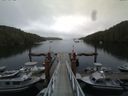 ./images/calvert/dock/20140805/dock20140805_094502.jpg