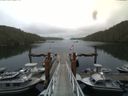 ./images/calvert/dock/20140805/dock20140805_104501.jpg