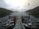 ./images/calvert/dock/20140805/dock20140805_123004.jpg