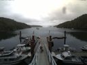 ./images/calvert/dock/20140805/dock20140805_130004.jpg