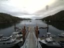 ./images/calvert/dock/20140805/dock20140805_153504.jpg