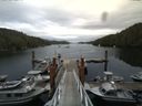 ./images/calvert/dock/20140805/dock20140805_155504.jpg