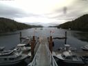 ./images/calvert/dock/20140805/dock20140805_160004.jpg