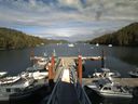 ./images/calvert/dock/20140805/dock20140805_170503.jpg