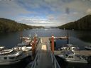 ./images/calvert/dock/20140805/dock20140805_173002.jpg