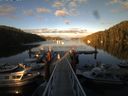 ./images/calvert/dock/20140805/dock20140805_195002.jpg