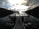 ./images/calvert/dock/20140807/dock20140807_075502.jpg