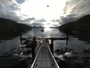 ./images/calvert/dock/20140807/dock20140807_082002.jpg