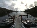 ./images/calvert/dock/20140807/dock20140807_103504.jpg