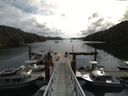 ./images/calvert/dock/20140807/dock20140807_104004.jpg