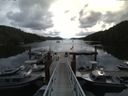 ./images/calvert/dock/20140807/dock20140807_105003.jpg