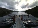 ./images/calvert/dock/20140807/dock20140807_105501.jpg